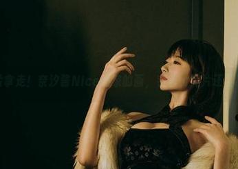 免费照片拿走！奈汐酱Nice画家的画，手艺比照片还要‘值钱’