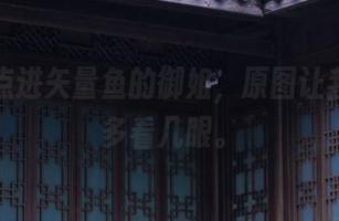 无意中点进矢量鱼的御姐，原图让我忍不住多看几眼。
