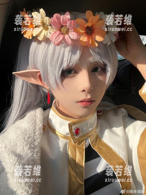 福利图片速递：腥味猫罐的新发现——艾咪的奇趣时刻！
