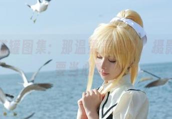 腥味猫罐图集：那温柔是陷阱，摄影师你要当心哦！